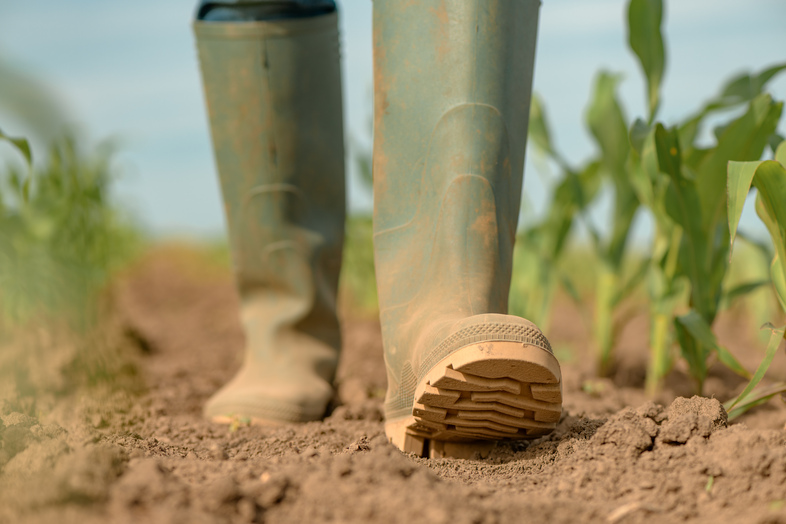 En person med gröna stövlar går på en jordig åker bredvid växande plantor.
