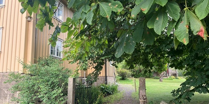 Gul trävilla med grusgång, grönskande träd och stenmur i en lantlig trädgård.