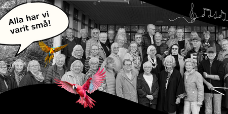 En stor grupp människor står tillsammans utomhus, omgivna av färgglada papegojor och pratbubbla med texten 'Alla har vi varit små!'.