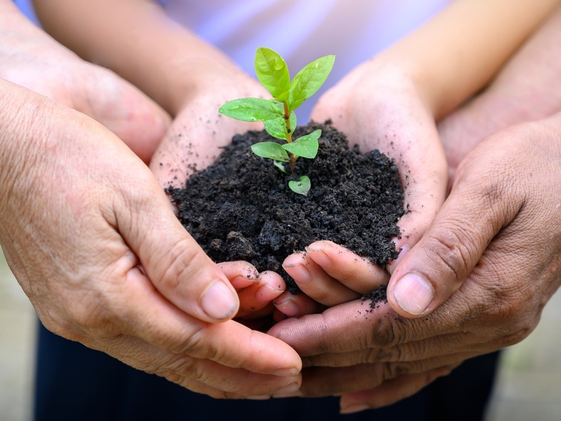 Flera händer håller tillsammans en liten planta med jord, symboliserar samarbete och miljövård.
