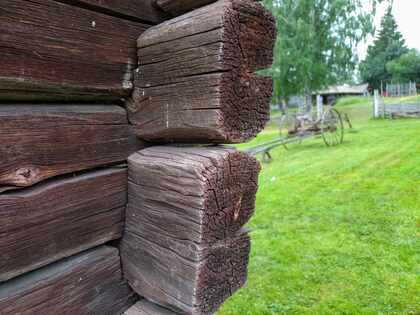 Närbild av ett hörn på en timrad träbyggnad med grön gräsmatta och gammal vagn i bakgrunden.