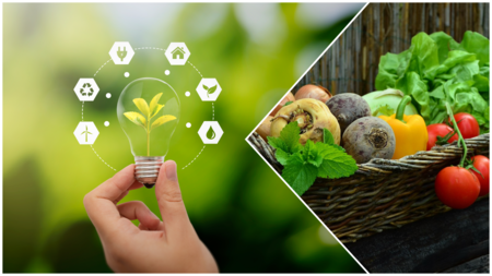 En hand håller en glödlampa med en växt inuti, bredvid en korg med färska grönsaker.