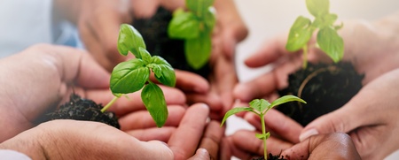 Flera händer håller små plantor med jord, symboliserar samarbete och hållbarhet.