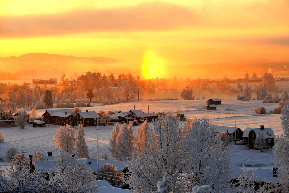 Vinterlandskap med snötäckta hus och träd i soluppgångens varma ljus.