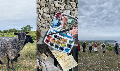 Tre bilder: en får på äng, ett akvarellset med skiss, och en grupp människor som vandrar på en kust.