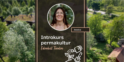 Reklambild för en introduktionskurs i permakultur med Jessica på Edenhill, Tiveden. Bakgrund med grönskande trädgård.