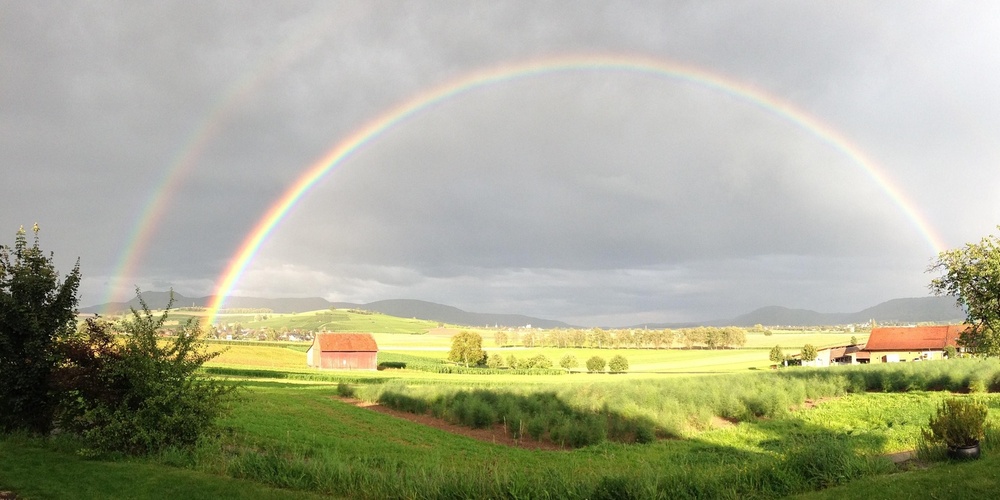 Landskap med gröna fält, bondgårdar och en tydlig dubbel regnbåge mot en molnig himmel.