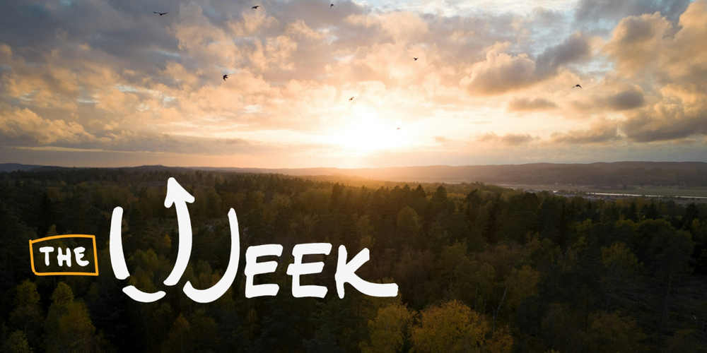 Solnedgång över en skog med texten 'The Week' i vit handstil ovanpå bilden.