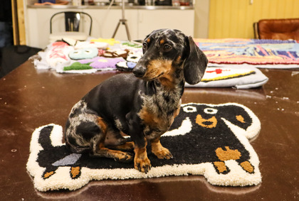 En tax sitter på en matta med en taxbild på ett bord i ett rum med färgglada filtar i bakgrunden.