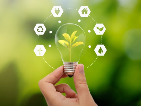 En hand håller en glödlampa med en växt inuti, omgiven av ikoner för hållbarhet och miljö.