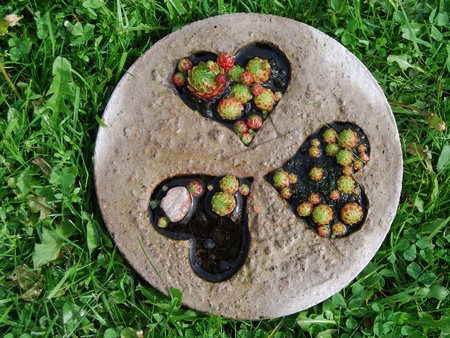 Rund stenplatta med tre hjärtformade urgröpningar fyllda med små suckulenter, placerad på gräs.