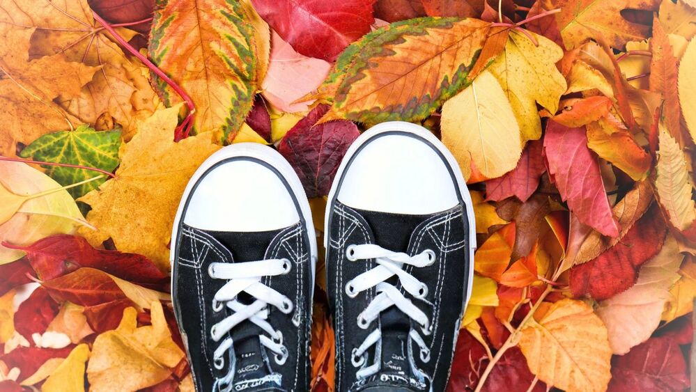 Ett par svarta sneakers står på färgglada höstlöv i olika nyanser av gult, orange och rött.
