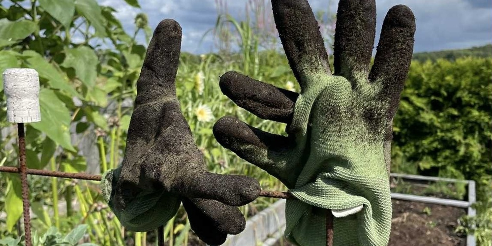 Två smutsiga trädgårdshandskar sitter på metallpinnar i en grönskande trädgård under blå himmel med moln.