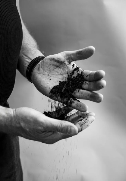 Två händer håller och låter jord rinna mellan fingrarna, svartvit bild.