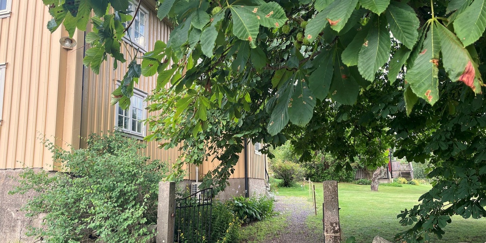 Gul trävilla med grusgång, grönskande träd och stenmur i en lantlig trädgård.