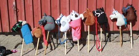 Flera käpphästar står uppradade mot en röd trävägg utomhus i solsken.