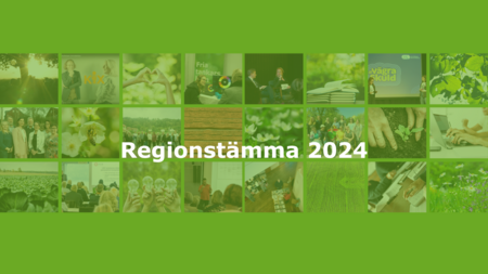 Kollage med gröna bilder och texten 'Regionstämma 2024' i mitten.