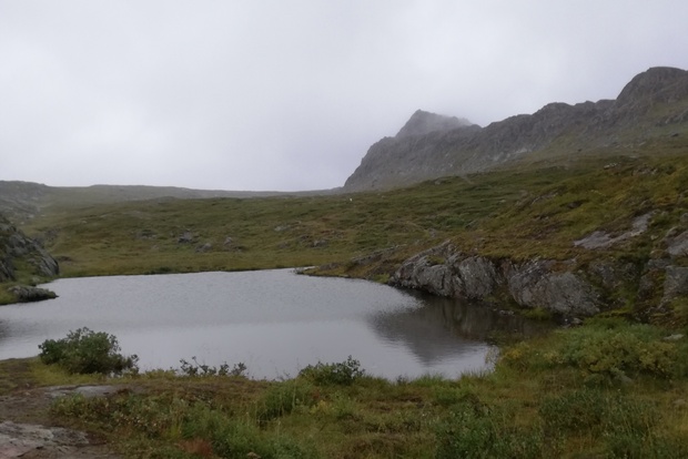 Dimhöljd fjällsjö med grön vegetation och stenig terräng i förgrunden, berg i bakgrunden.