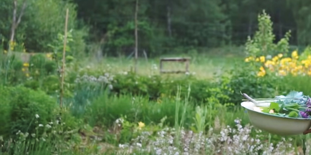 Kvinna med långt ljust hår plockar grönsaker i en trädgård med blommor och grönska.
