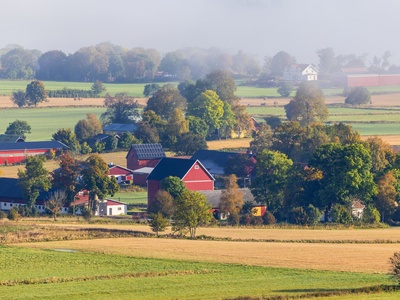 Landskapsvy över en lantlig by med röda hus, gröna fält och träd i morgondimma.