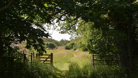 En grönskande stig leder genom en trädkantad grind ut mot en solig äng.