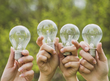 Fyra händer håller upp varsin glödlampa utomhus med grönskande bakgrund.