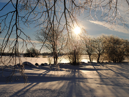 Solig vinterdag med snötäckta fält, träd och grenar täckta av is, långa skuggor på marken.