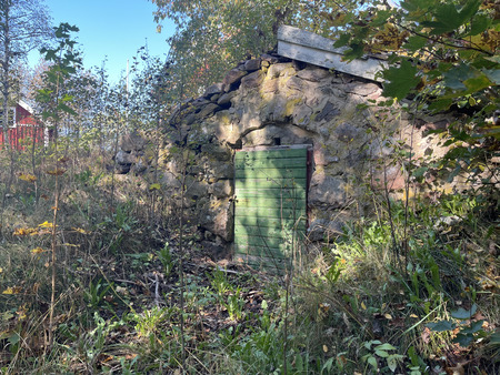 En gammal stenkällare med grön dörr omgiven av vildvuxen vegetation i skogsmiljö.