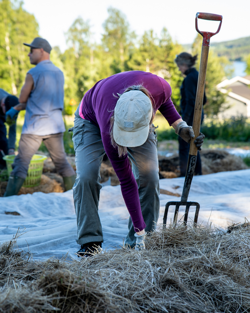 Person arbetar med högaffel på en åker, omgiven av andra människor och natur.