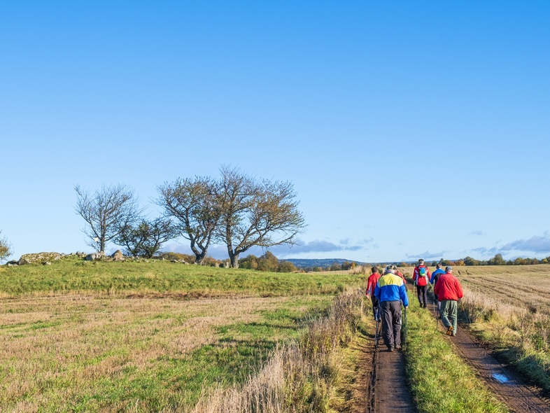 En grupp människor promenerar på en landsväg genom ett öppet fält under klarblå himmel.