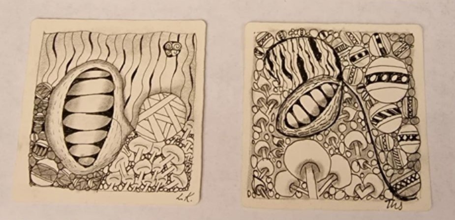 Två svartvita abstrakta teckningar med organiska former, mönster och svampliknande motiv.