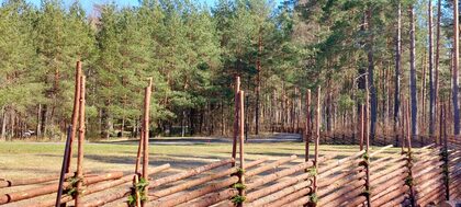 En trästaket av stockar står på en äng vid kanten av en tallskog under en klarblå himmel.