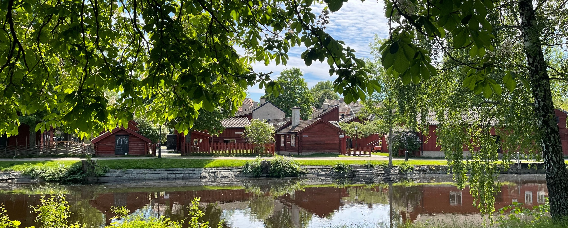 Gröna träd och gräs vid en flod, med röda trähus på andra sidan vattnet under en solig himmel.