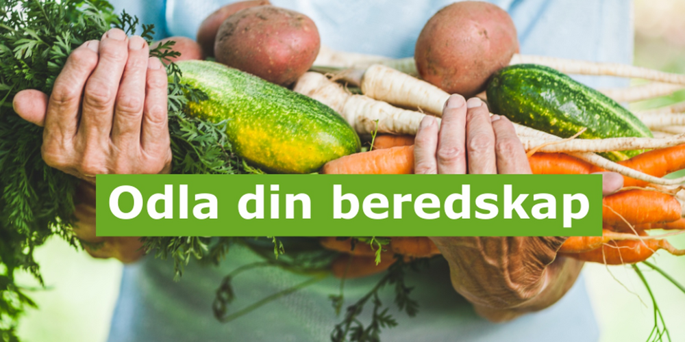Person håller en stor bunt färska grönsaker, bland annat morötter, gurka och potatis.