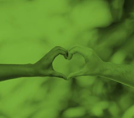 Två händer formar ett hjärta mot en suddig bakgrund, bilden har ett grönt filter.