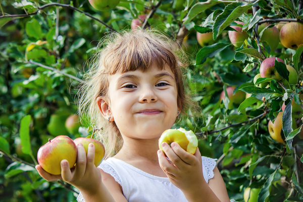 Ett leende barn håller äpplen i båda händerna i en grönskande äppelträdgård.