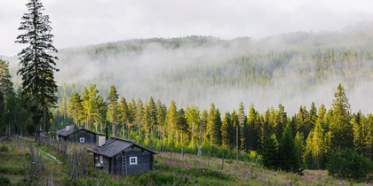 Två små timmerstugor på en sluttning omgivna av granskog och dimma i en lantlig miljö.