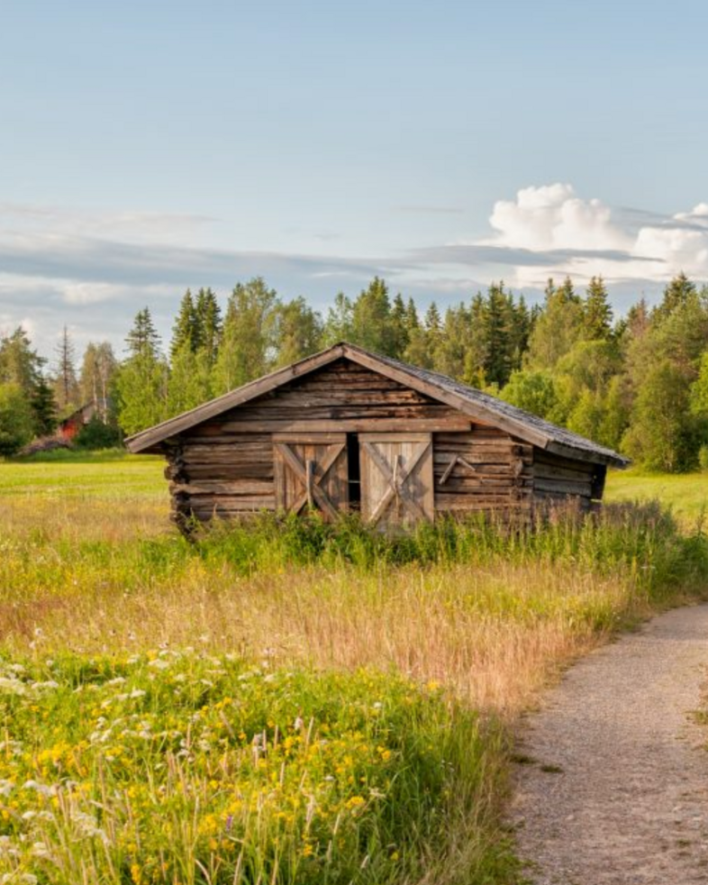 En gammal träbod står på en äng med gräs och blommor, omgiven av skog och blå himmel.