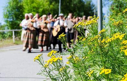 Gula blommor i förgrunden med en grupp människor i folkdräkt suddigt i bakgrunden utomhus.