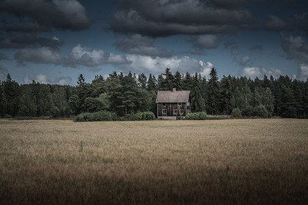Ett ensamt trähus står på en äng framför en mörk skog under dramatiska moln.