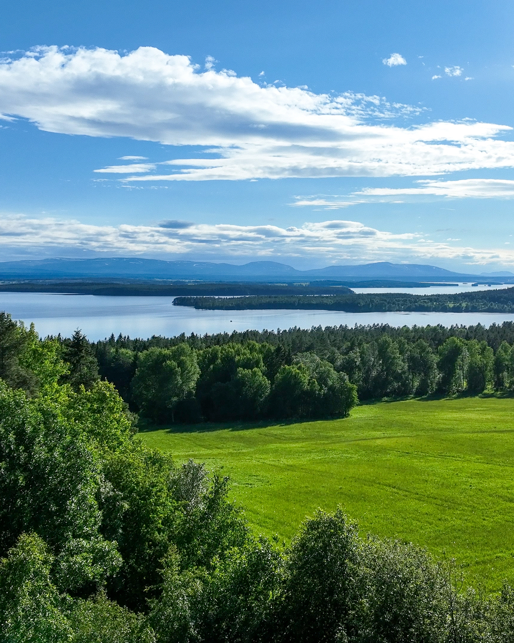 Landskapsvy med gröna ängar, skog, en sjö och blå himmel med moln i bakgrunden.