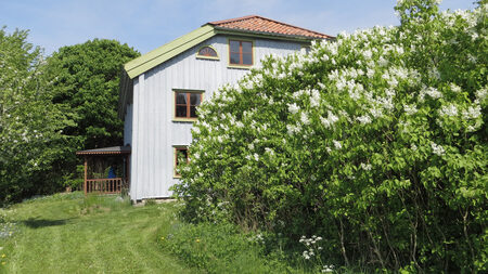 Ett ljusblått hus med rött tak bredvid blommande buskar och grön gräsmatta under en klar himmel.
