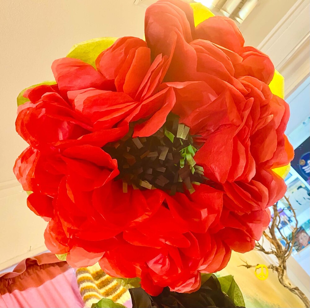 Stor röd pappersblomma med grönt och gult i bakgrunden, inomhusmiljö.