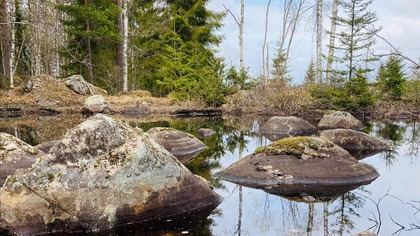 400 år av Finnskogshistoria - en vandrande föreläsning