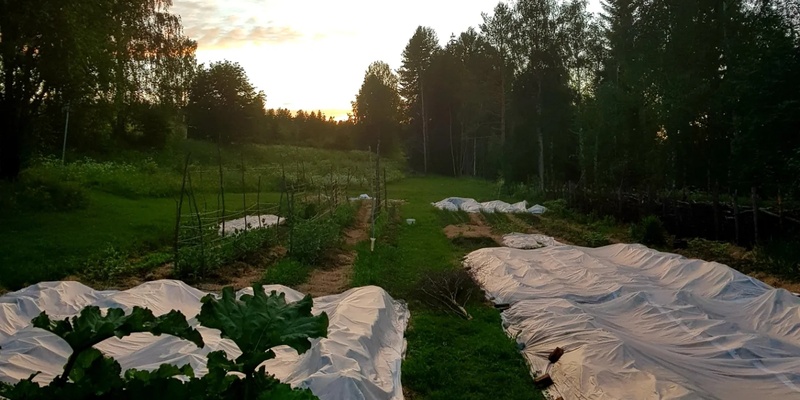 Odla din trädgård- oldingskurs för nybörjare