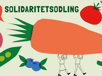 Illustration med stora grönsaker och två personer som bär en jättemorot. Texten 'Solidaritetsodling' syns överst.