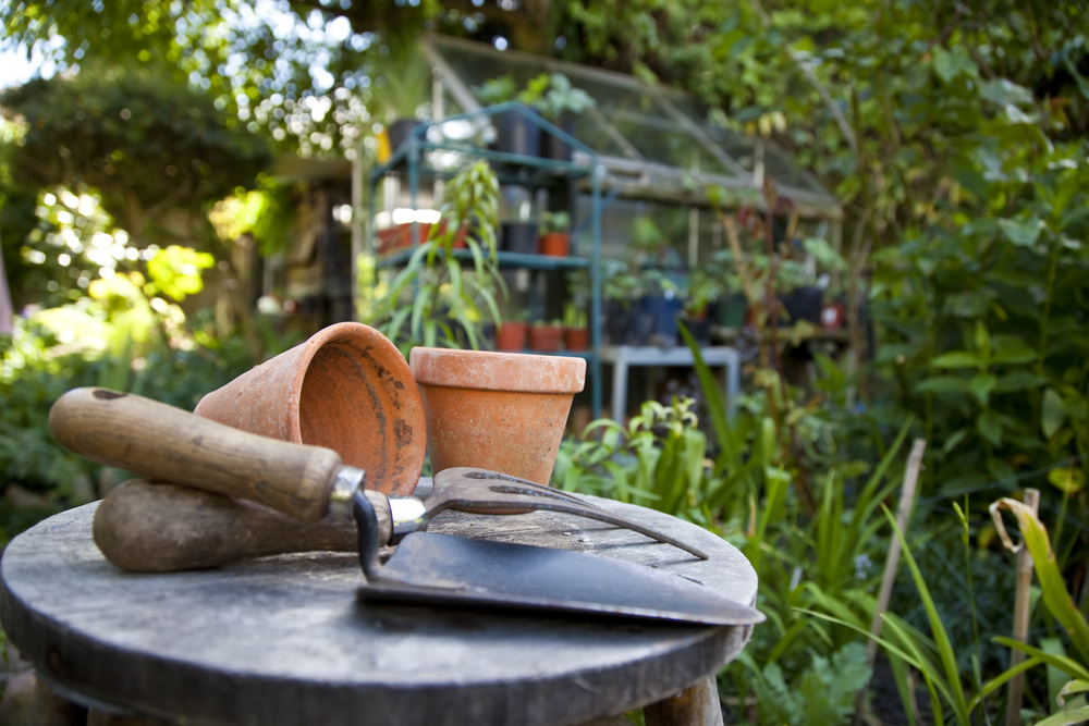 Trädgårdsredskap och lerkrukor på ett bord i en grönskande trädgård med växthus i bakgrunden.