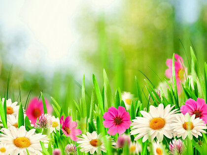 sommardans