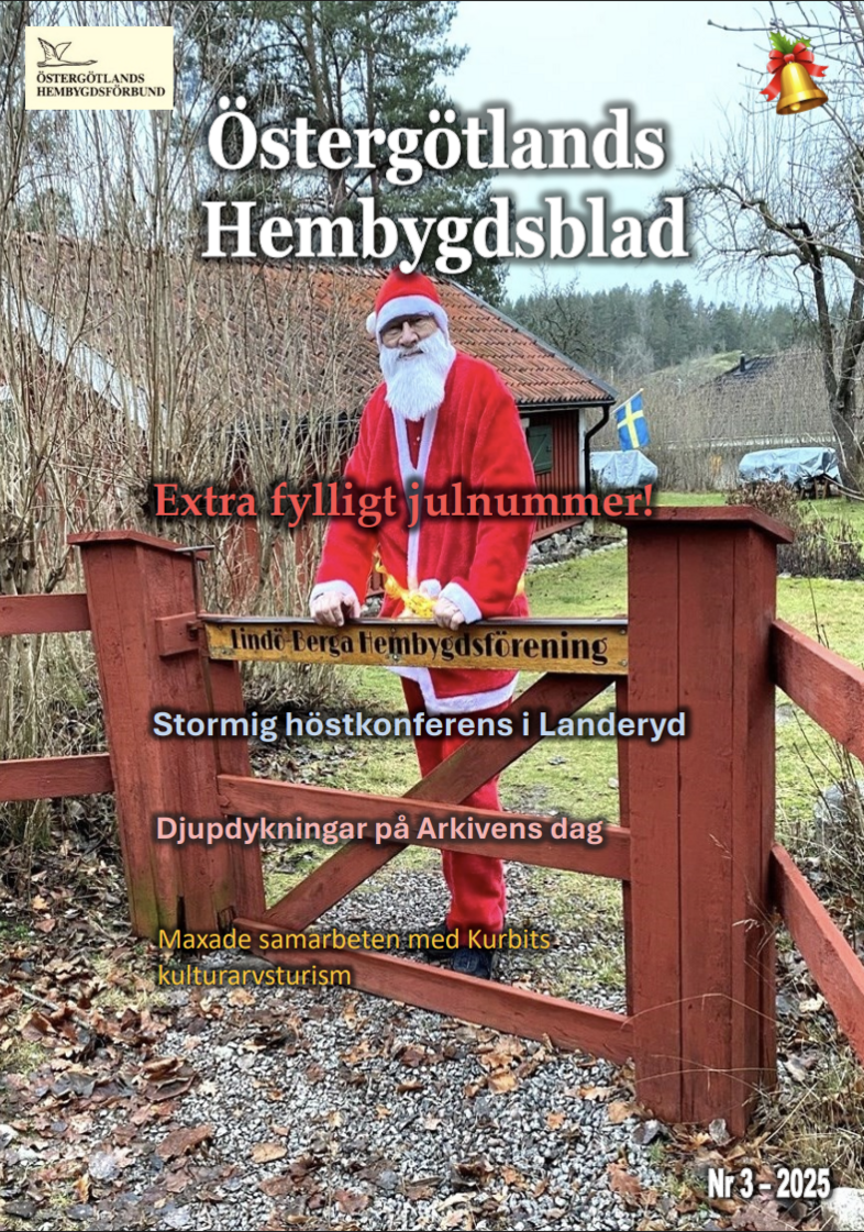 Person utklädd till jultomte står vid en röd grind framför en landsbygdsmiljö med svensk flagga.