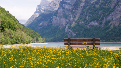 Lär dig mindfulness: vetenskapen, praktiken och effekterna